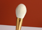 8 необходимого частей макияжа волос козы чистят набор щеткой с ручкой Ferrule золотого провода рисуя деревянной