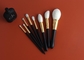 8 необходимого частей макияжа волос козы чистят набор щеткой с ручкой Ferrule золотого провода рисуя деревянной